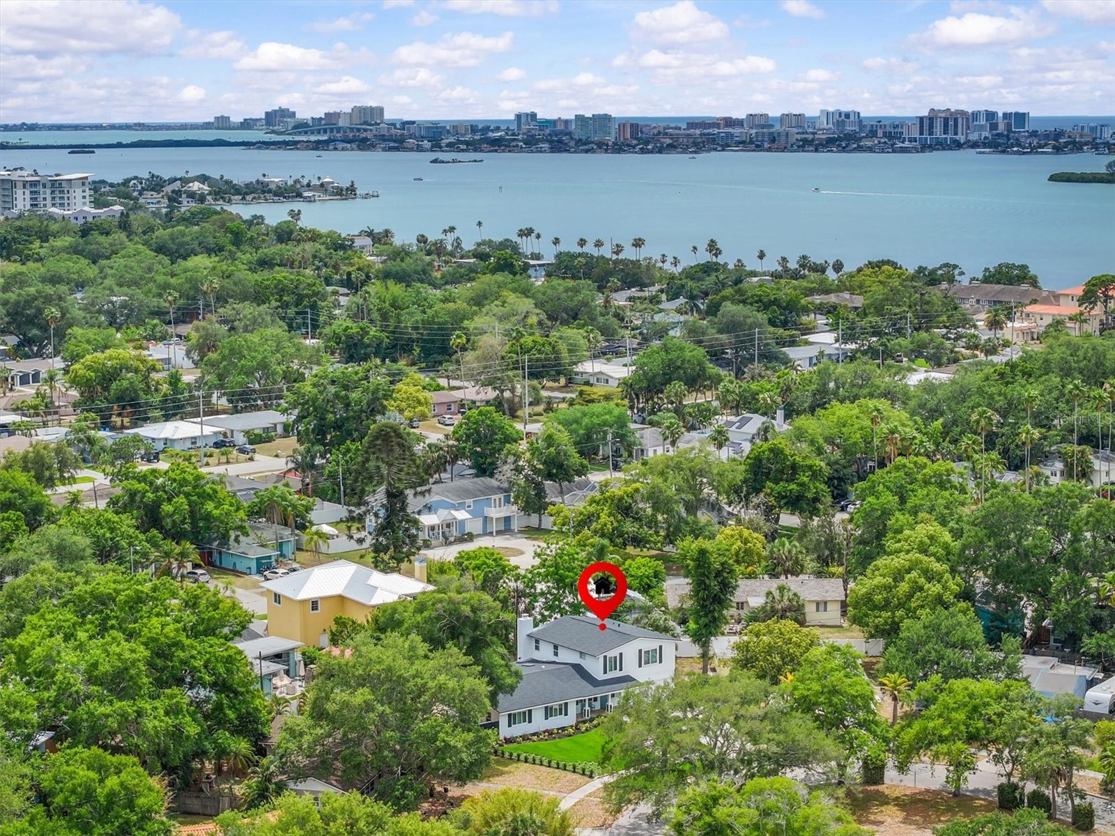 231 Lime Circle S Dunedin FL 34698 TB8503742 image3