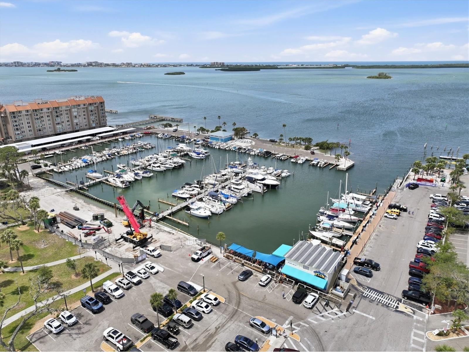 231 Lime Circle S Dunedin FL 34698 TB8503742 image70