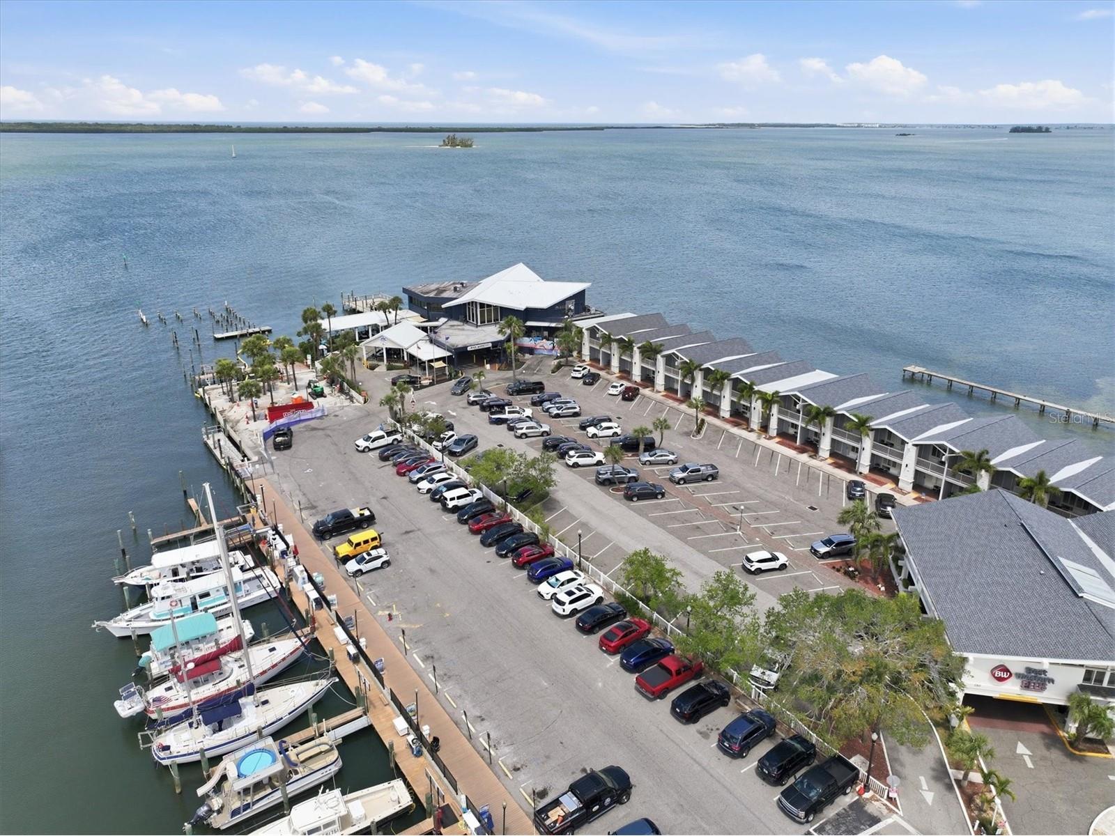 231 Lime Circle S Dunedin FL 34698 TB8503742 image75