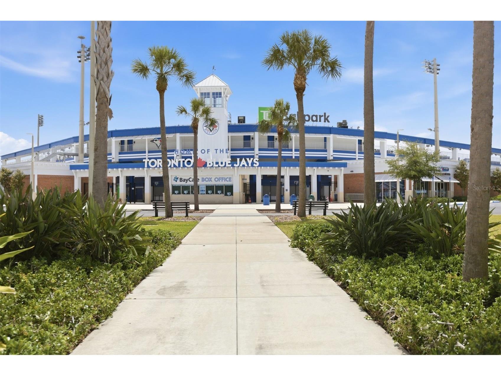 231 Lime Circle S Dunedin FL 34698 TB8503742 image77