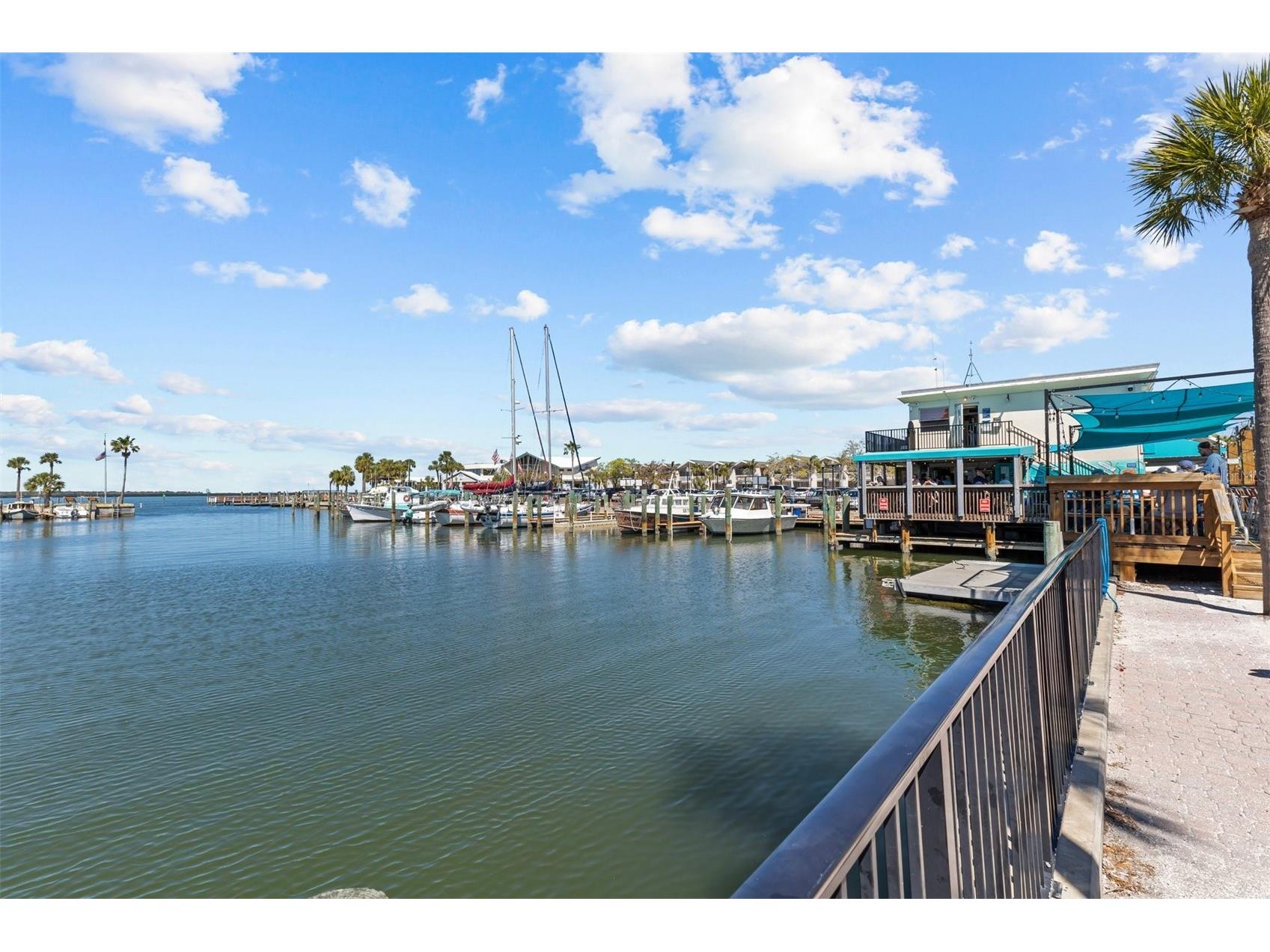 231 Lime Circle S Dunedin FL 34698 TB8503742 image78