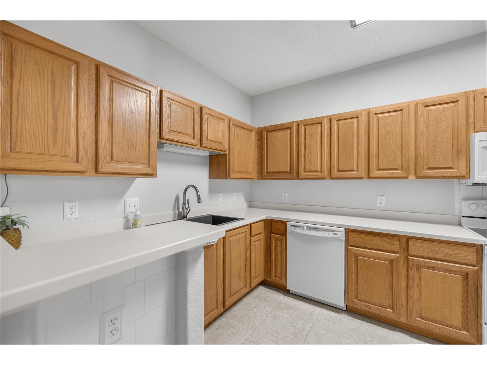 231 NE 28th Avenue #103 Ocala FL 34470 OM719866 image8