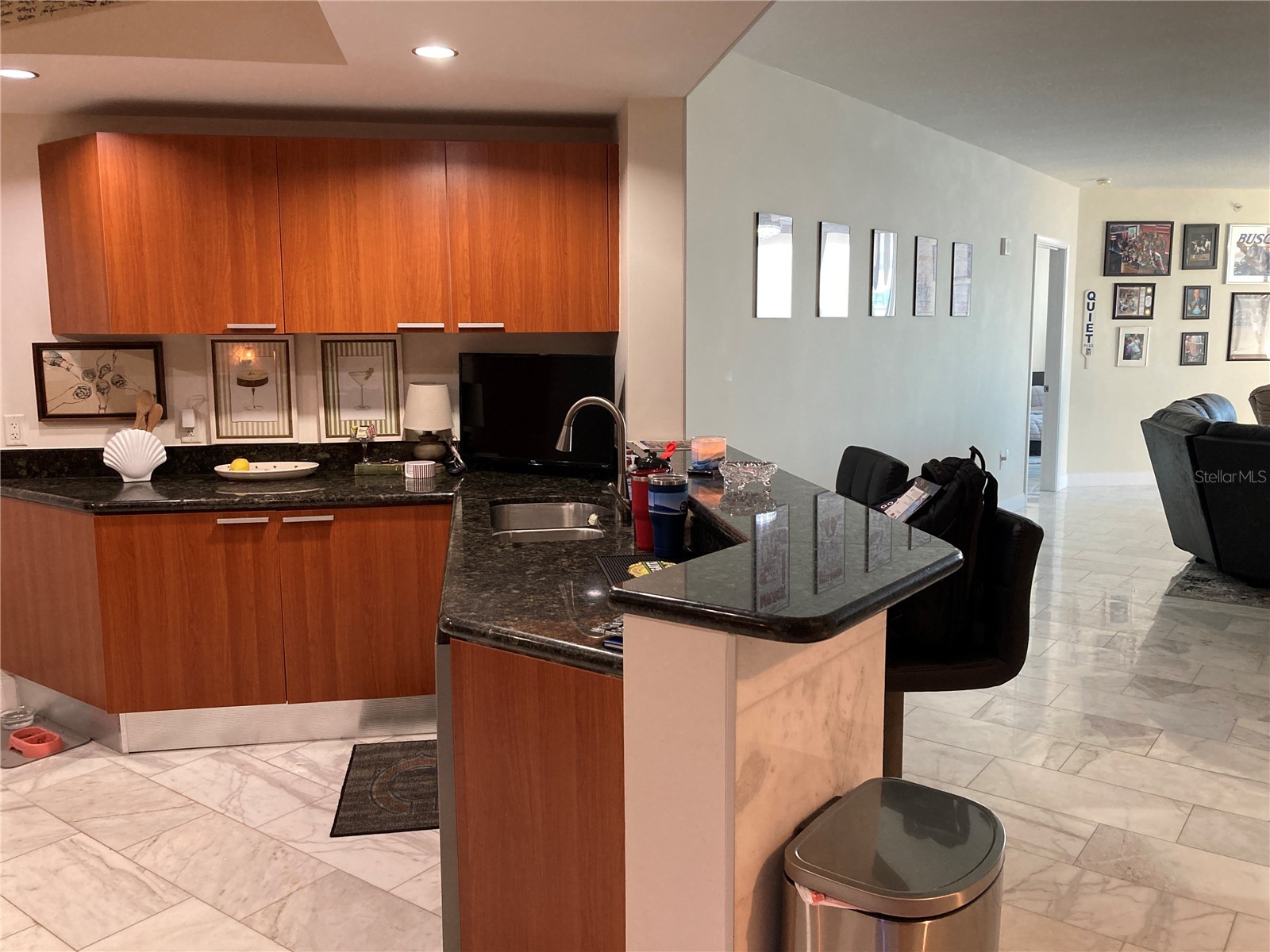 231 Riverside Drive #1504-1 Daytona Beach FL 32117 - HALIFAX RIVER V4949085 image3