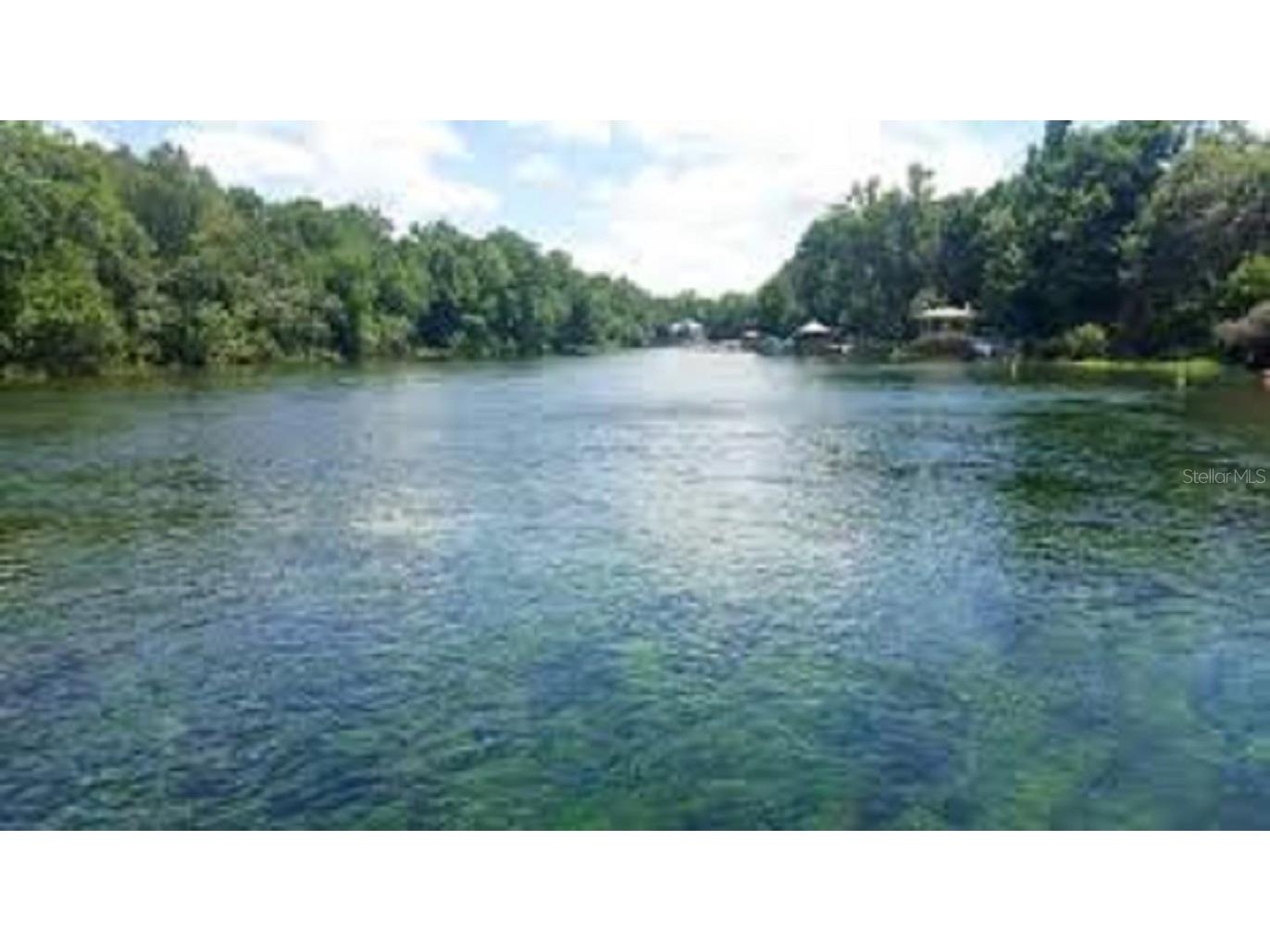 231 S Barbour Street Beverly Hills FL 34465 OM705452 image41