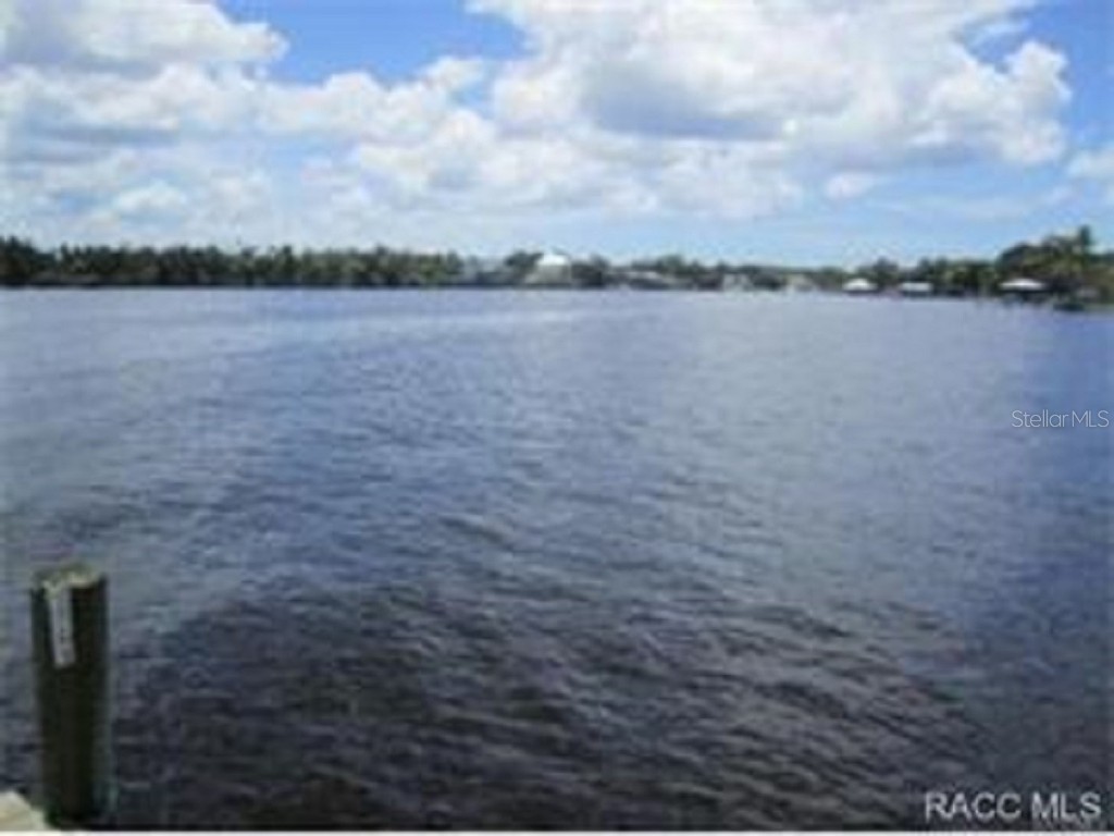 231 S Barbour Street Beverly Hills FL 34465 OM705452 image43