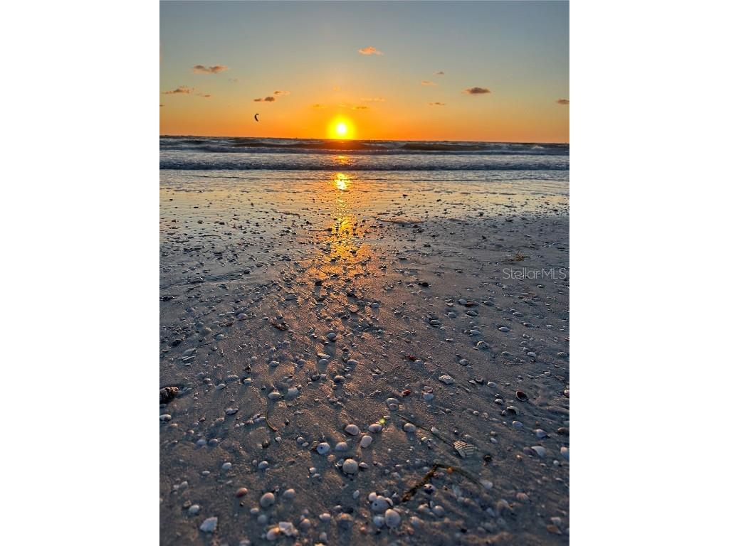 231 S Julia Circle Saint Pete Beach FL 33706 - BOCA CIEGA BAY TB8444043 image29