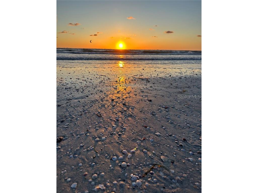 231 S Julia Circle Saint Pete Beach FL 33706 - BOCA CIEGA BAY TB8444043 image52