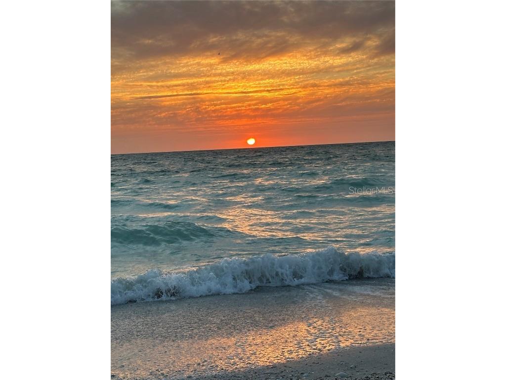 231 S Julia Circle Saint Pete Beach FL 33706 - BOCA CIEGA BAY TB8444043 image56