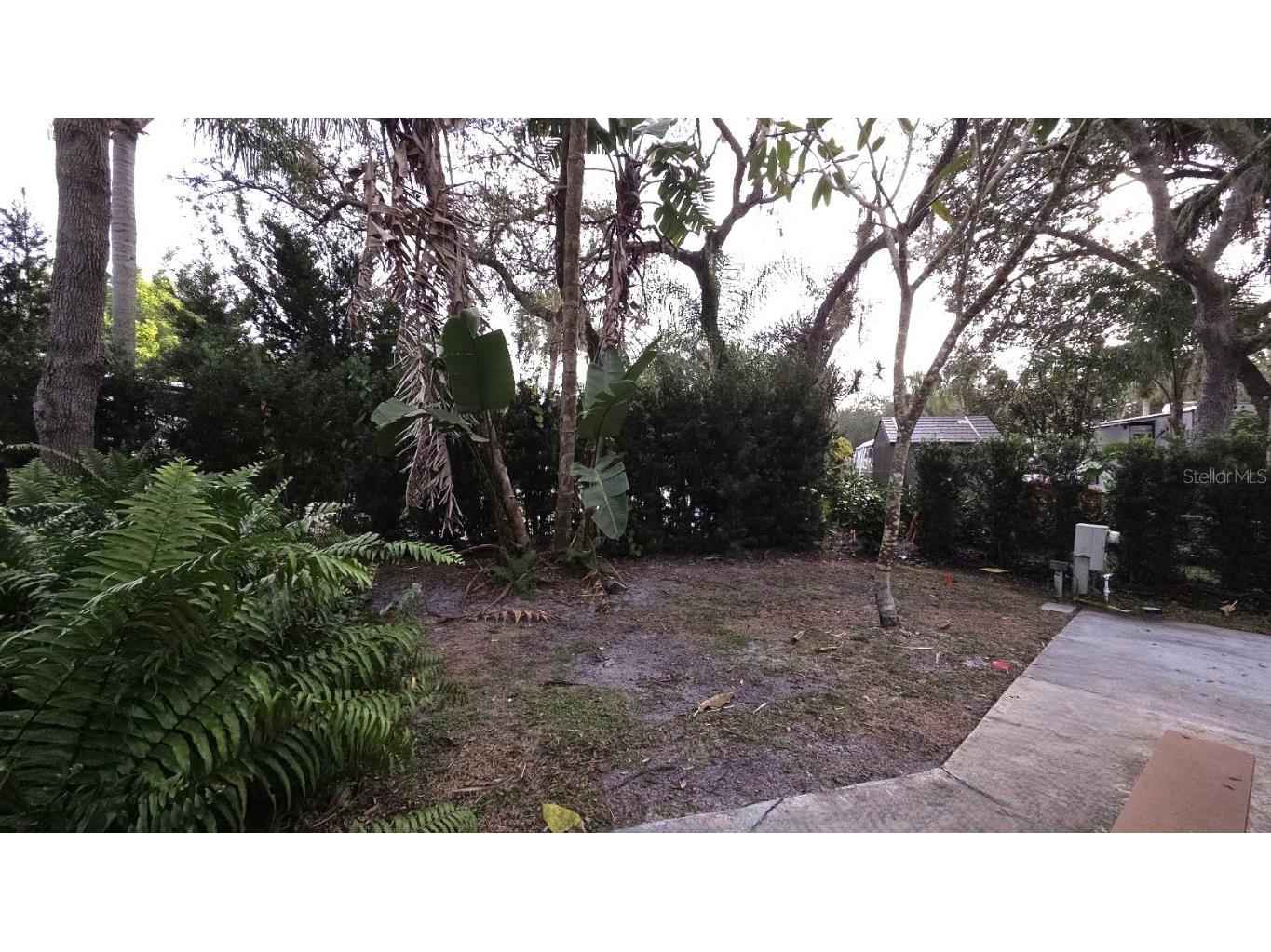 231 Stallion Lane River Ranch FL 33867 TB8457369 image6