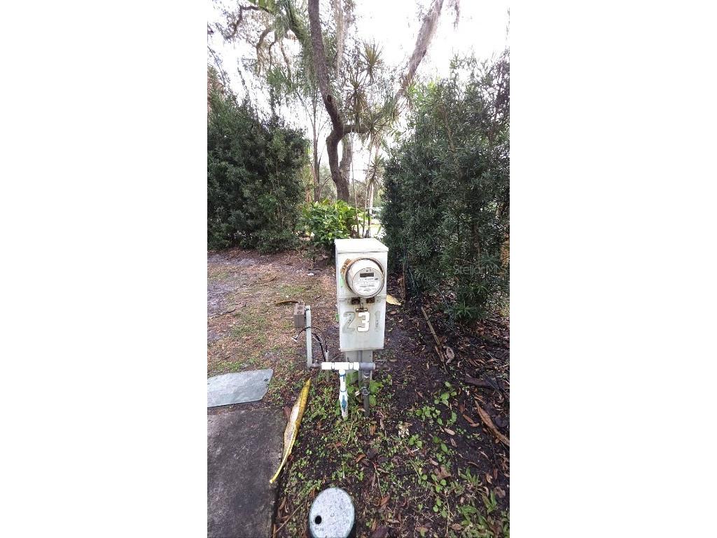 231 Stallion Lane River Ranch FL 33867 TB8457369 image8
