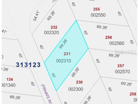 231 Stallion Lane River Ranch FL 33867 TB8457369 image9