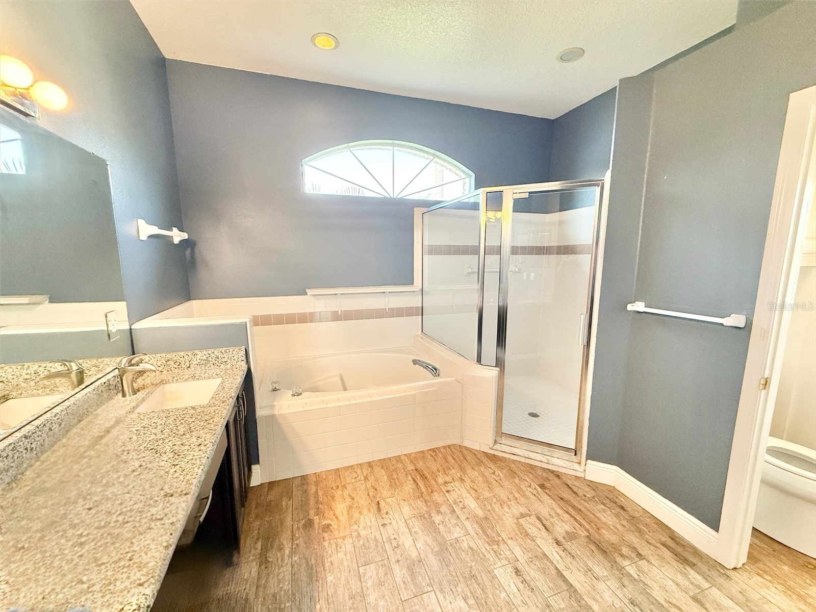 231 Strathmore Circle Kissimmee FL 34744 S5145096 image27