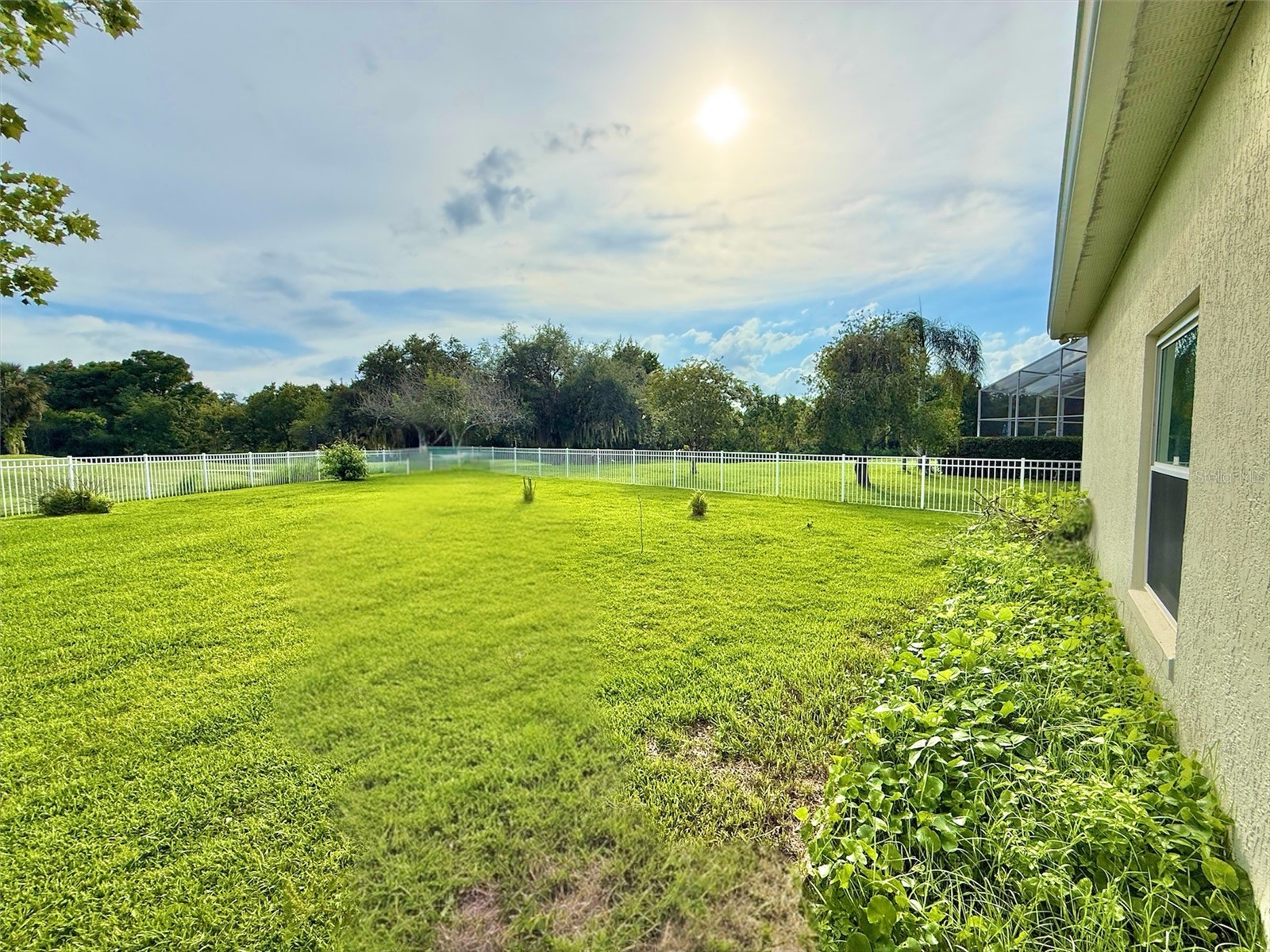 231 Strathmore Circle Kissimmee FL 34744 S5145096 image36