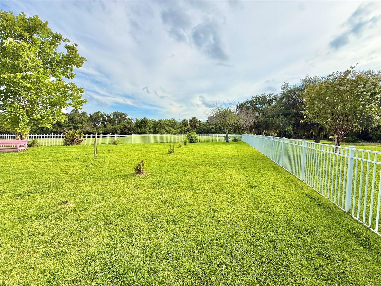 231 Strathmore Circle Kissimmee FL 34744 S5145096 image38