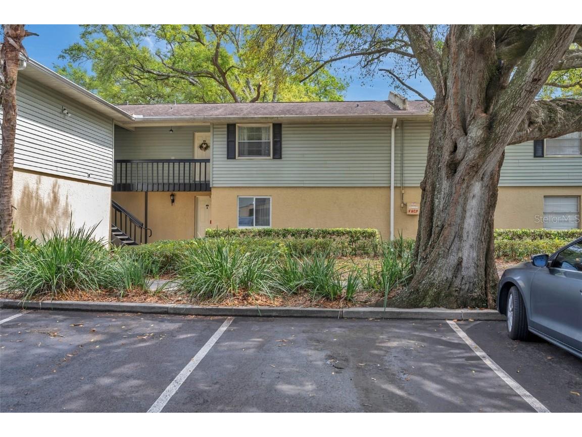 231 Thorn Tree Place Brandon FL 33510 T3509805 image1