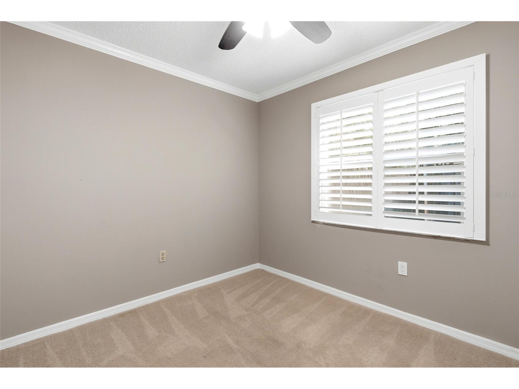 2310 29th Street N Saint Petersburg FL 33713 TB8523900 image38