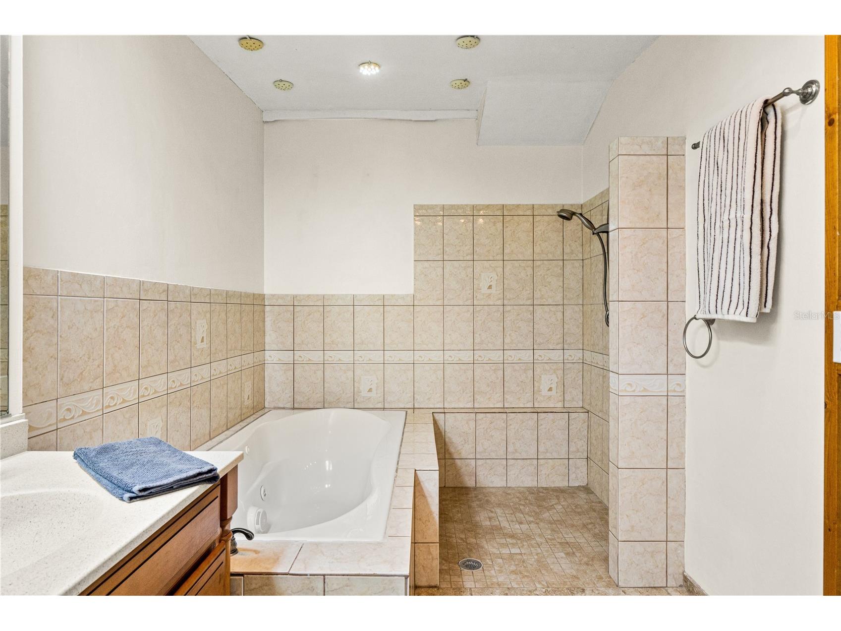 2310 Catalonia Way S Saint Petersburg FL 33712 TB8497883 image38