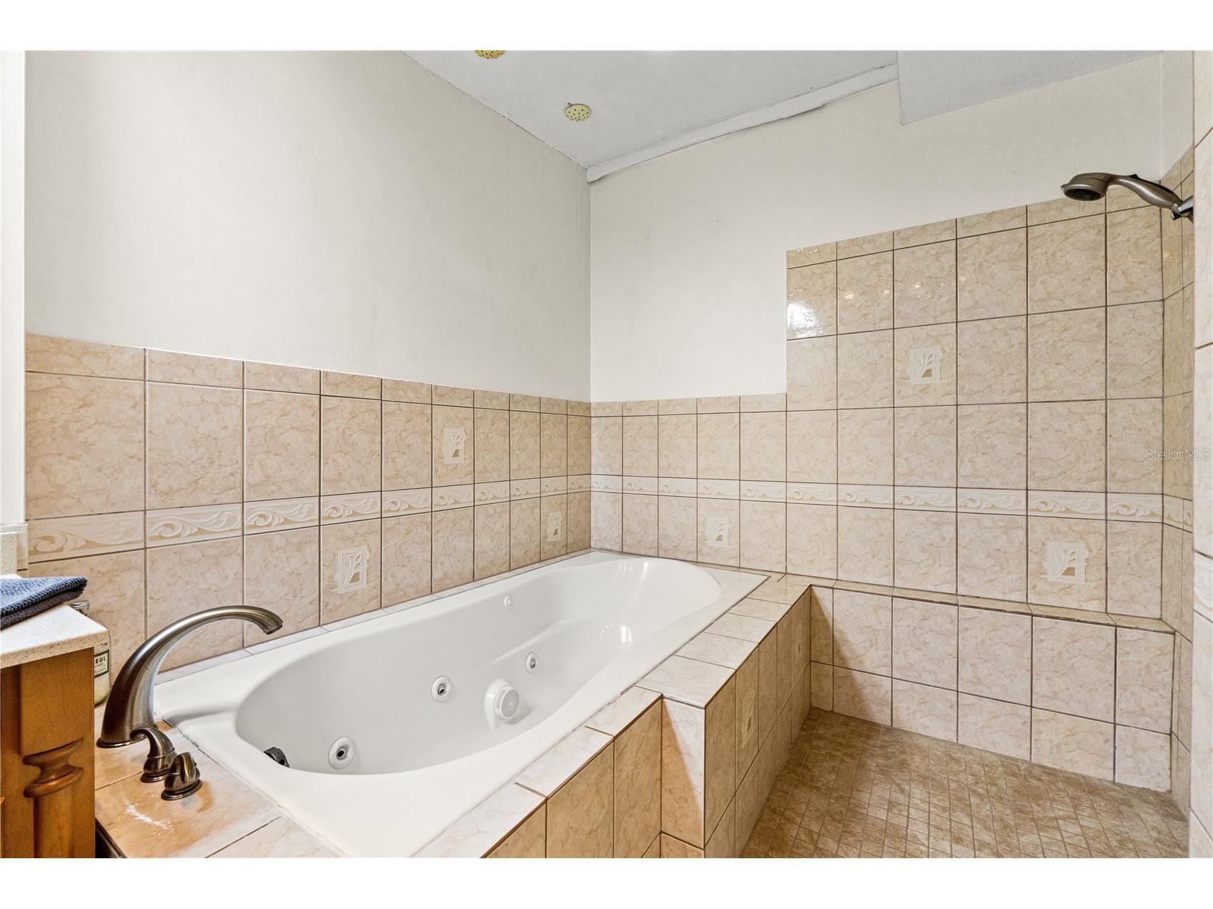2310 Catalonia Way S Saint Petersburg FL 33712 TB8497883 image39