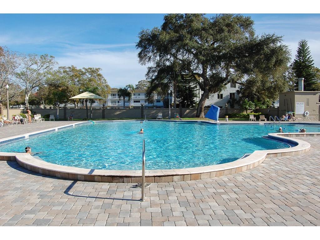 2310 Denmark Street #46 Clearwater FL 33763 TB8466419 image29