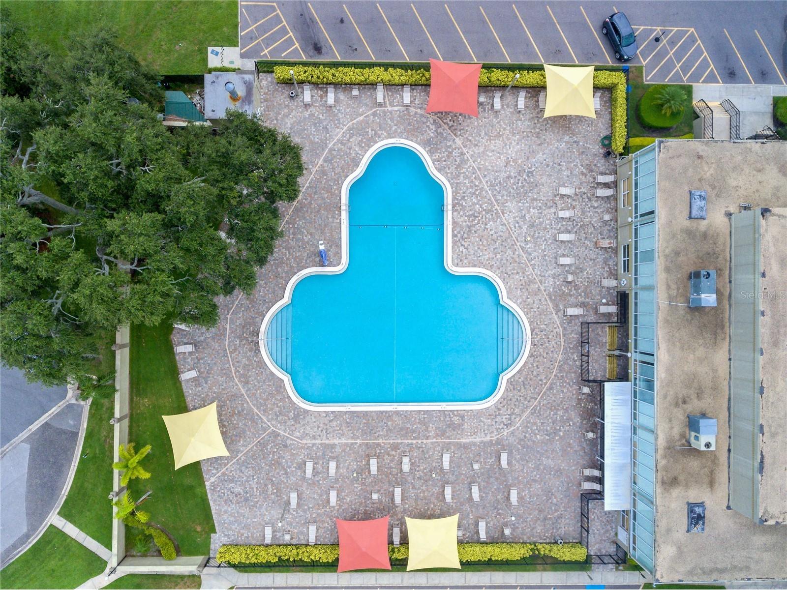2310 Denmark Street #46 Clearwater FL 33763 TB8466419 image31