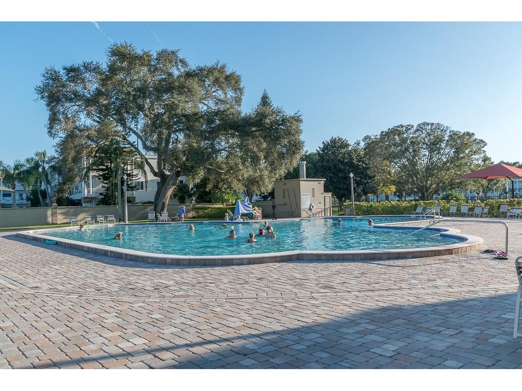 2310 Denmark Street #46 Clearwater FL 33763 TB8466419 image32