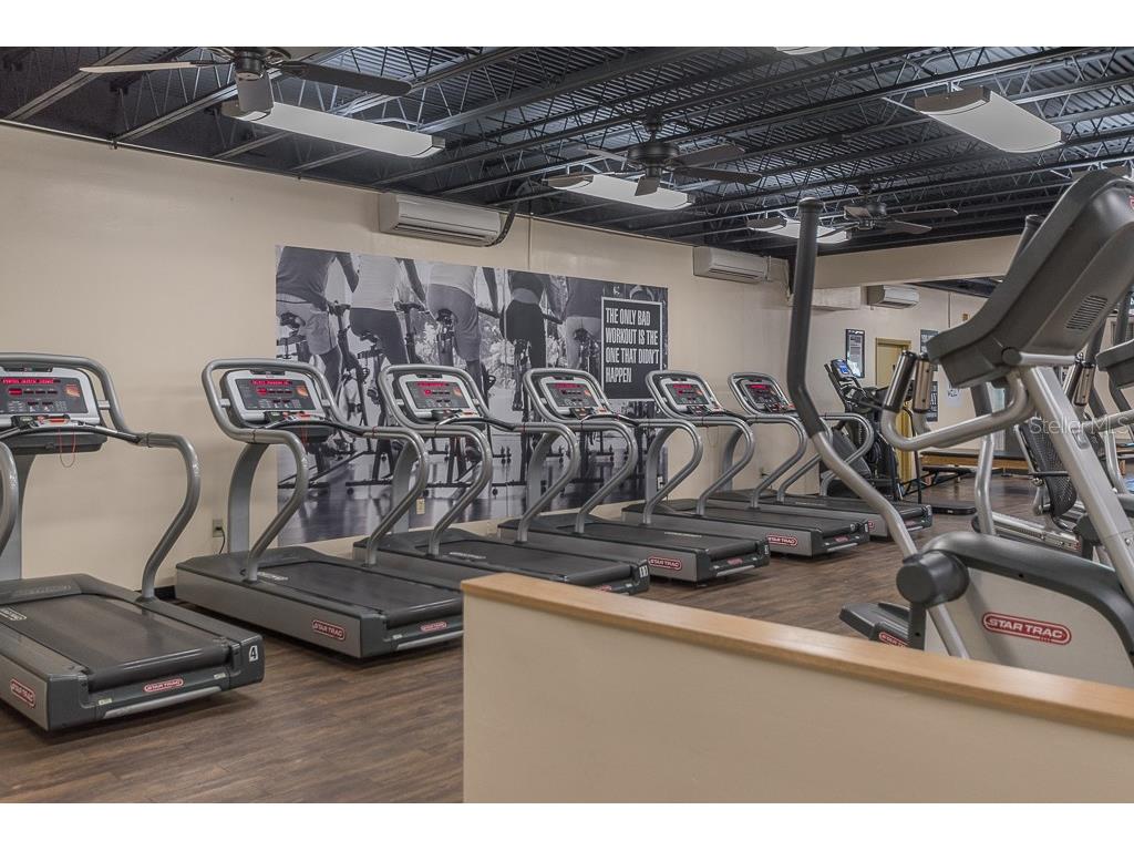 2310 Denmark Street #46 Clearwater FL 33763 TB8466419 image38