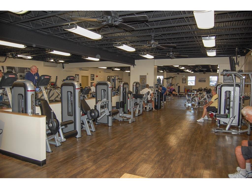 2310 Denmark Street #46 Clearwater FL 33763 TB8466419 image39