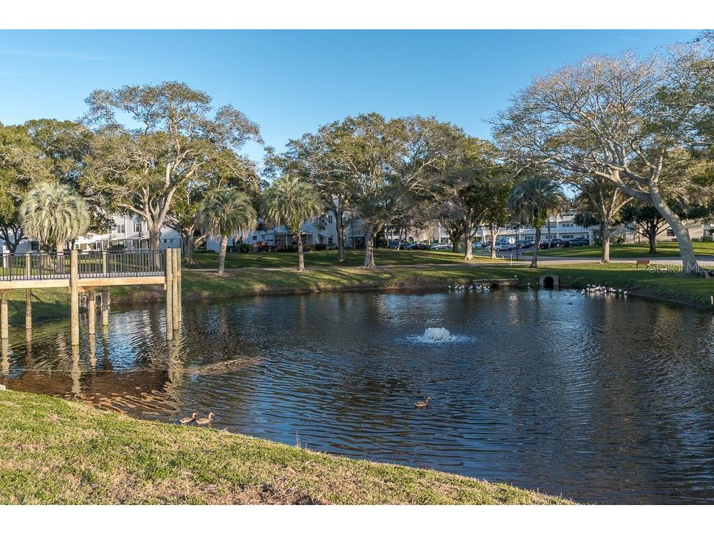 2310 Denmark Street #46 Clearwater FL 33763 TB8466419 image44