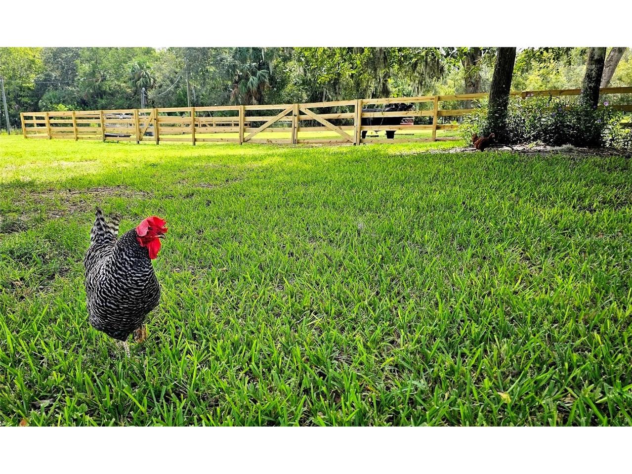 2310 Doster Drive New Smyrna Beach FL 32168 NS1086173 image30