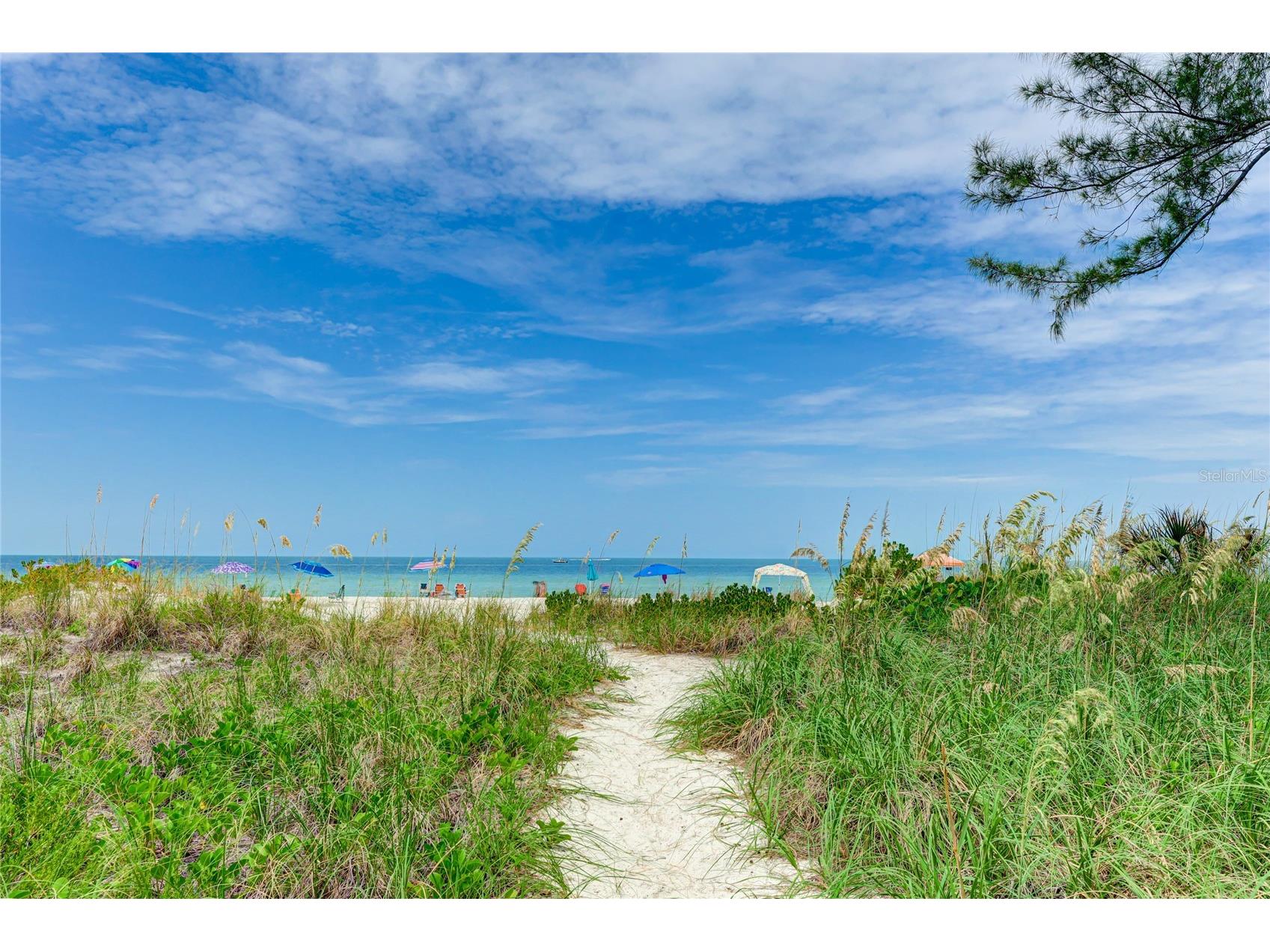 2310 Gulf Drive N #104 Bradenton Beach FL 34217 - GULF OF MEXICO A4655396 image28