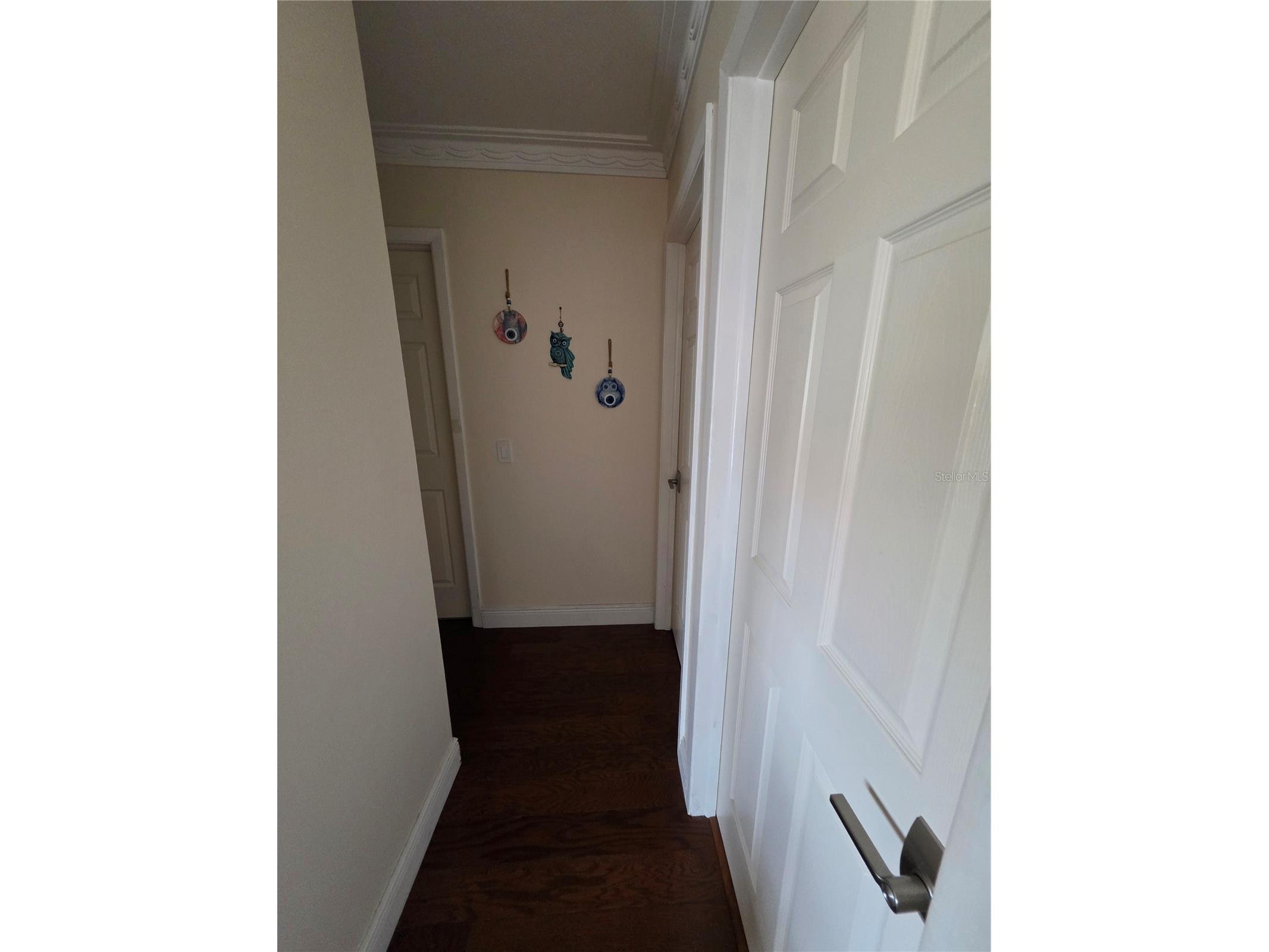 2310 Medford Lane Brandon FL 33511 TB8379580 image26