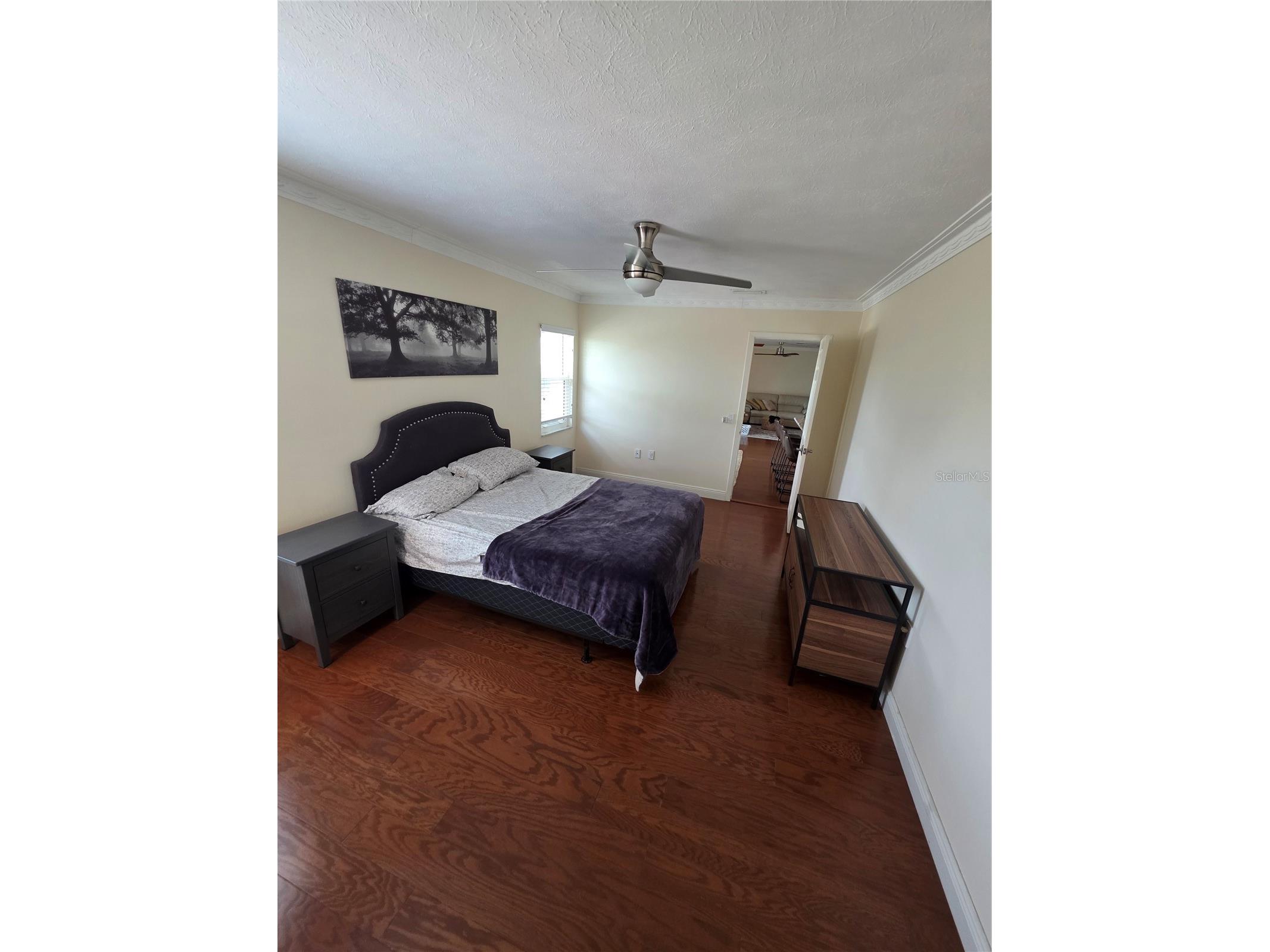 2310 Medford Lane Brandon FL 33511 TB8379580 image9