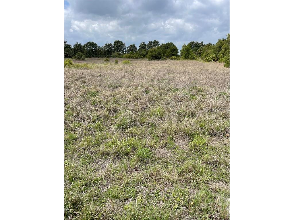 2310 Old Grove Trail Frostproof FL 33843 P4920146 image1