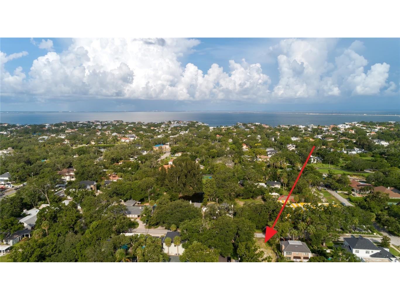 2310 S Hesperides Street Tampa FL 33629 TB8406579 image8