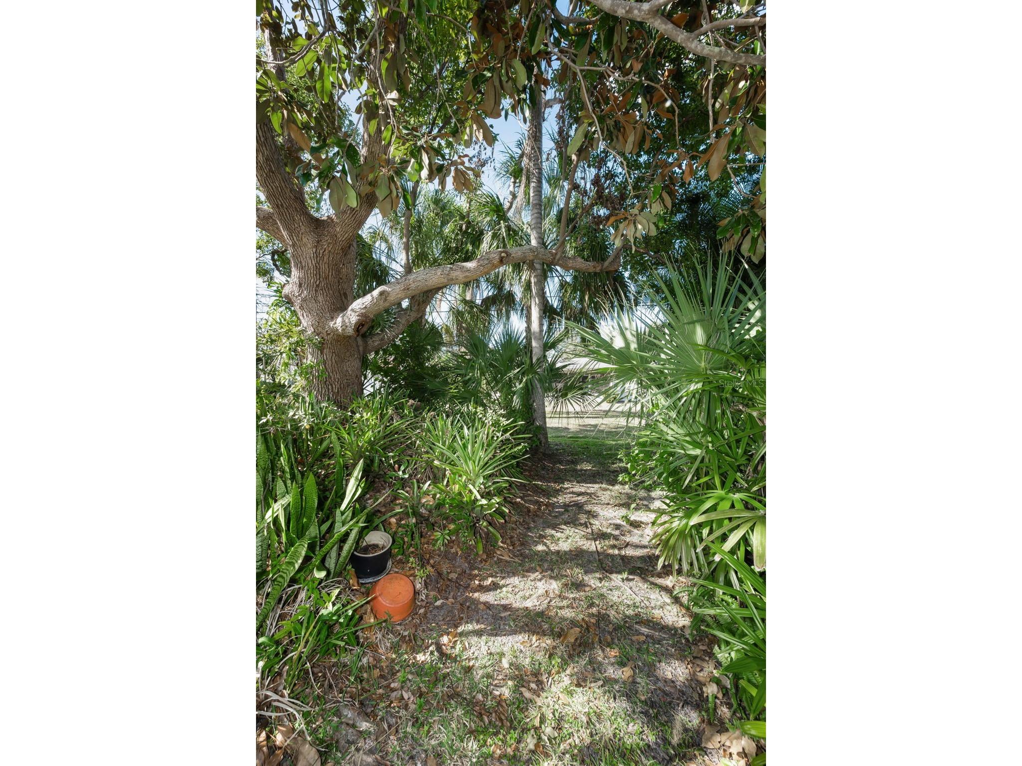 2310 Sarazen Dr Dunedin FL 34698 TB8468877 image55