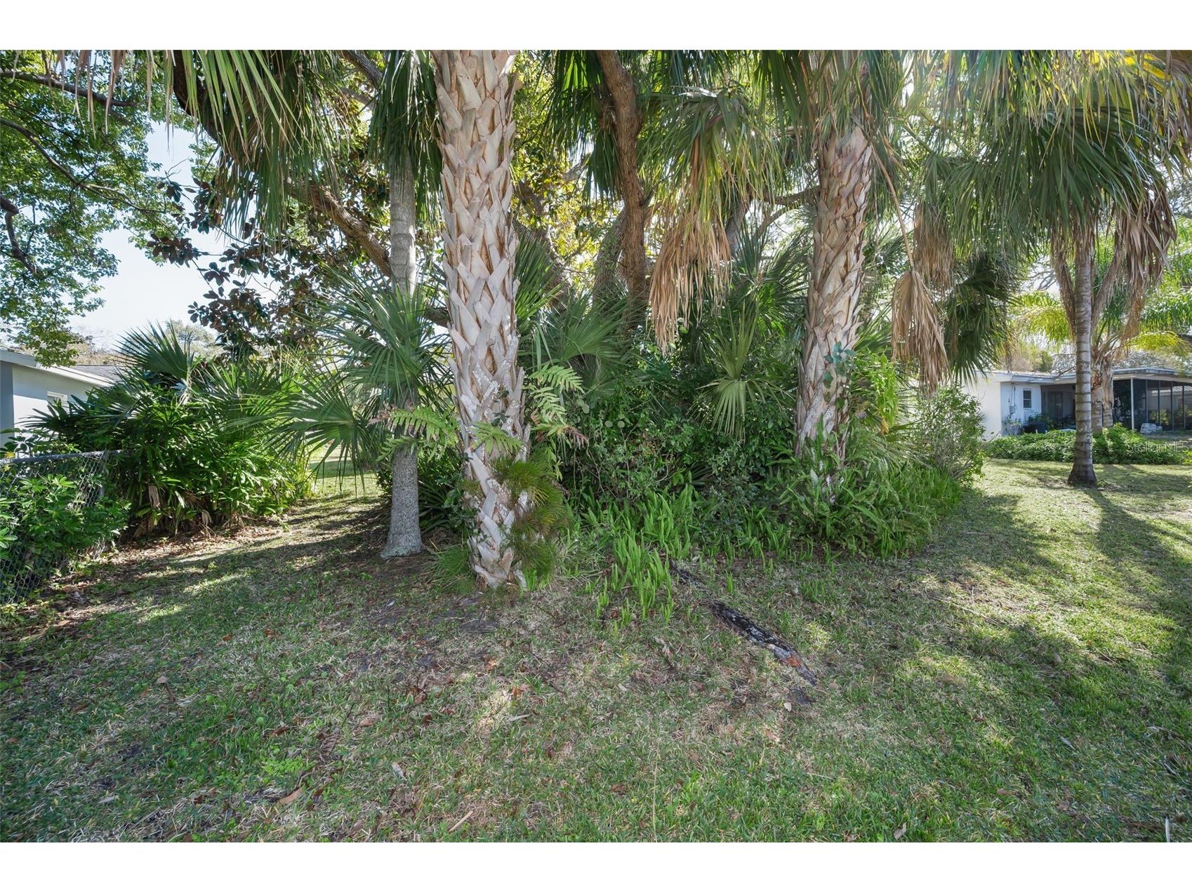 2310 Sarazen Dr Dunedin FL 34698 TB8468877 image56