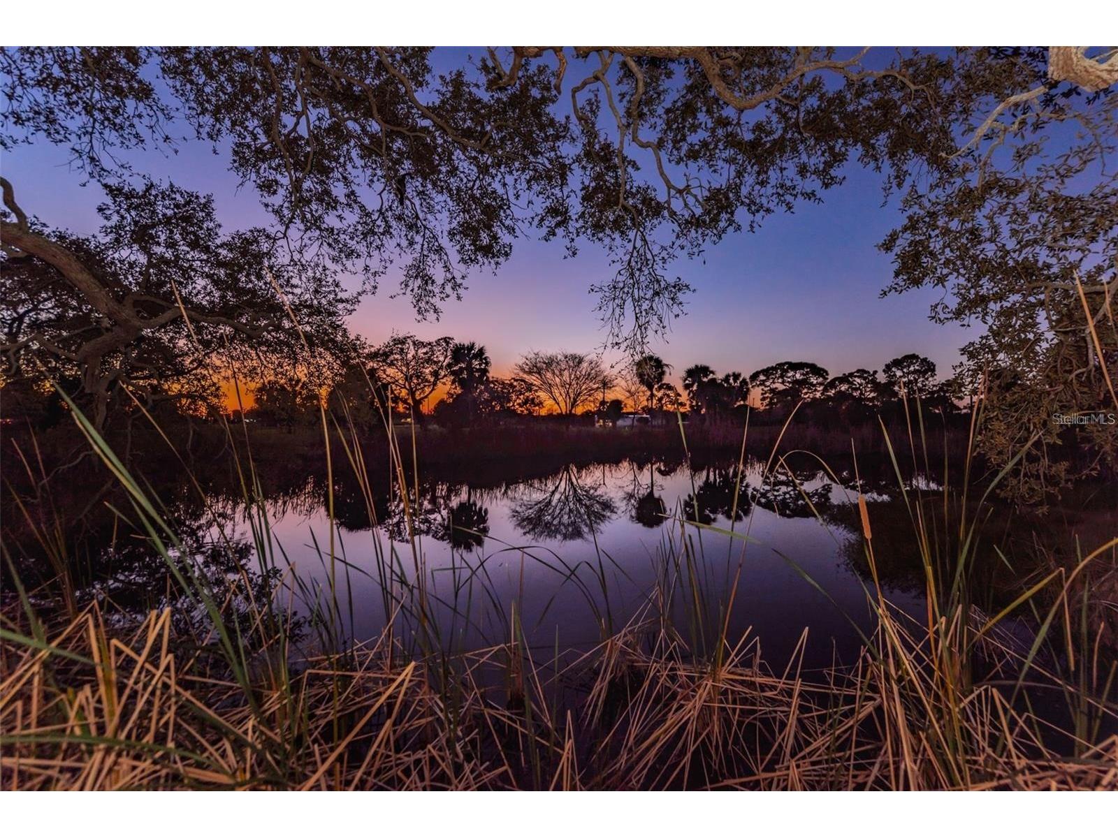 2310 Sarazen Dr Dunedin FL 34698 TB8468877 image62