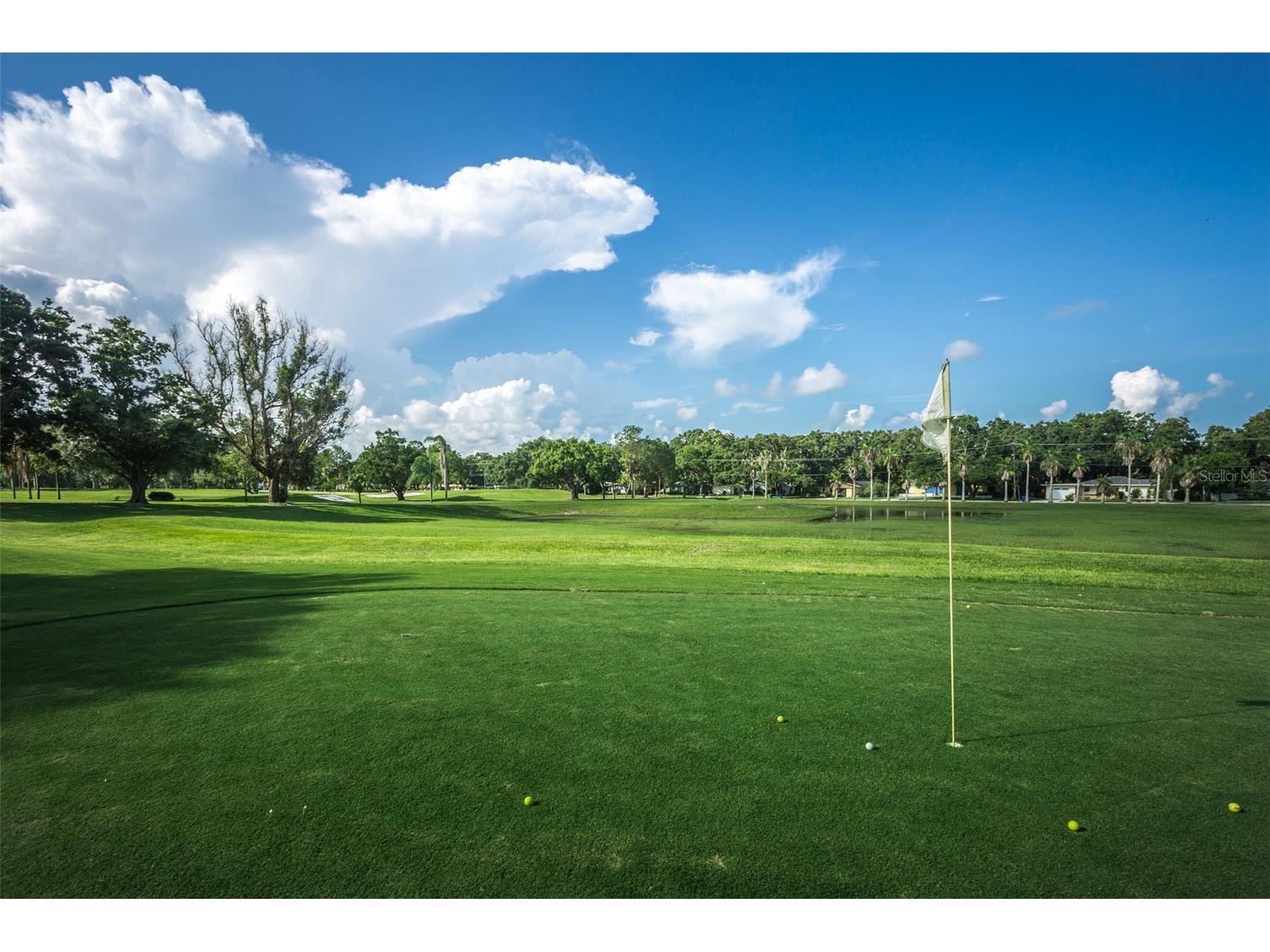 2310 Sarazen Dr Dunedin FL 34698 TB8468877 image66