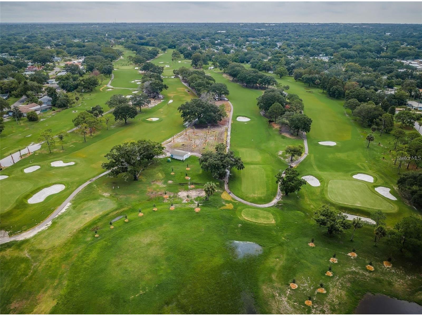 2310 Sarazen Dr Dunedin FL 34698 TB8468877 image67
