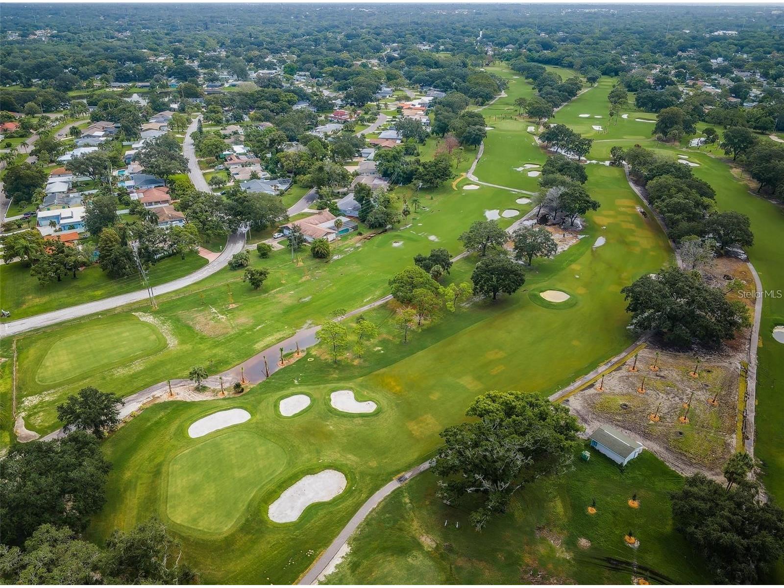 2310 Sarazen Dr Dunedin FL 34698 TB8468877 image71