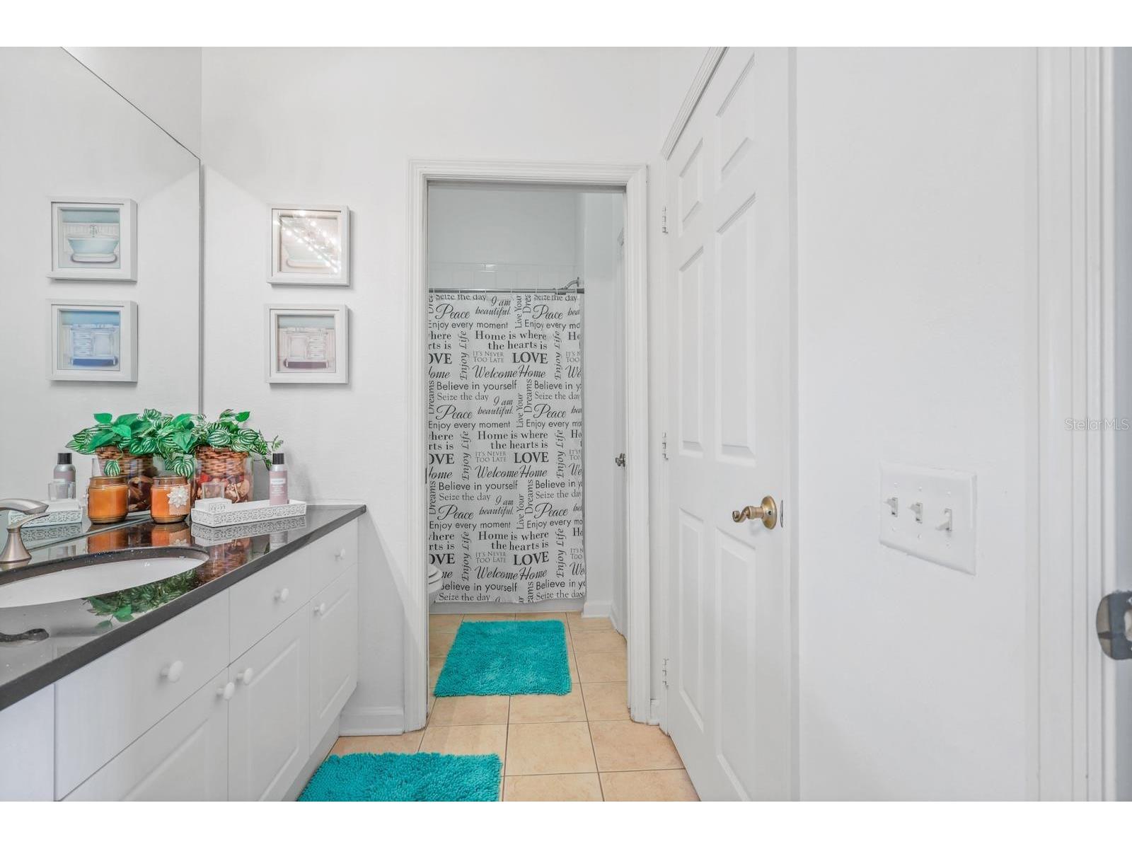 2310 Silver Palm Drive #201 Kissimmee FL 34747 R4910682 image22