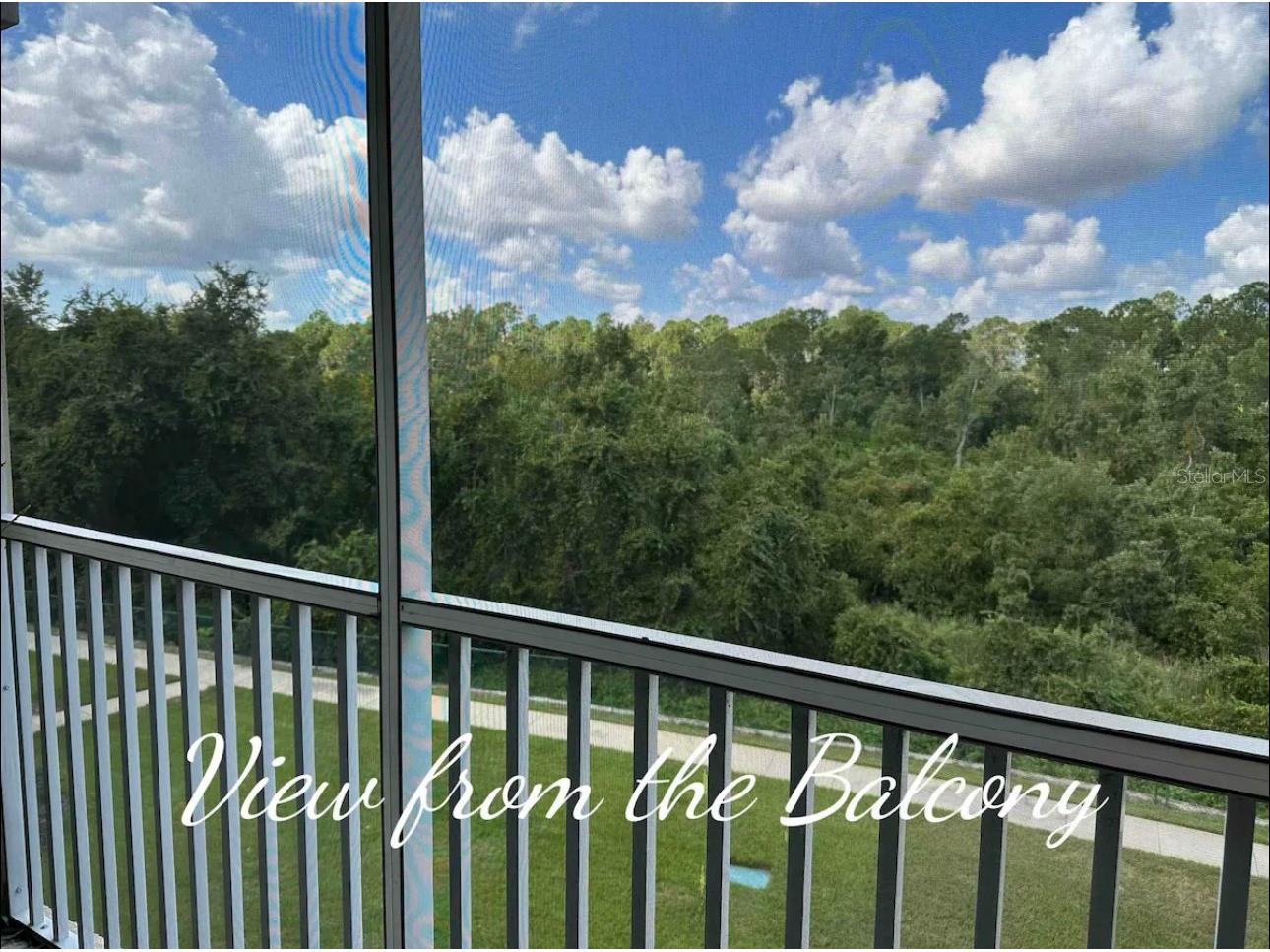 2310 Silver Palm Drive #302 Kissimmee FL 34747 O6396940 image19