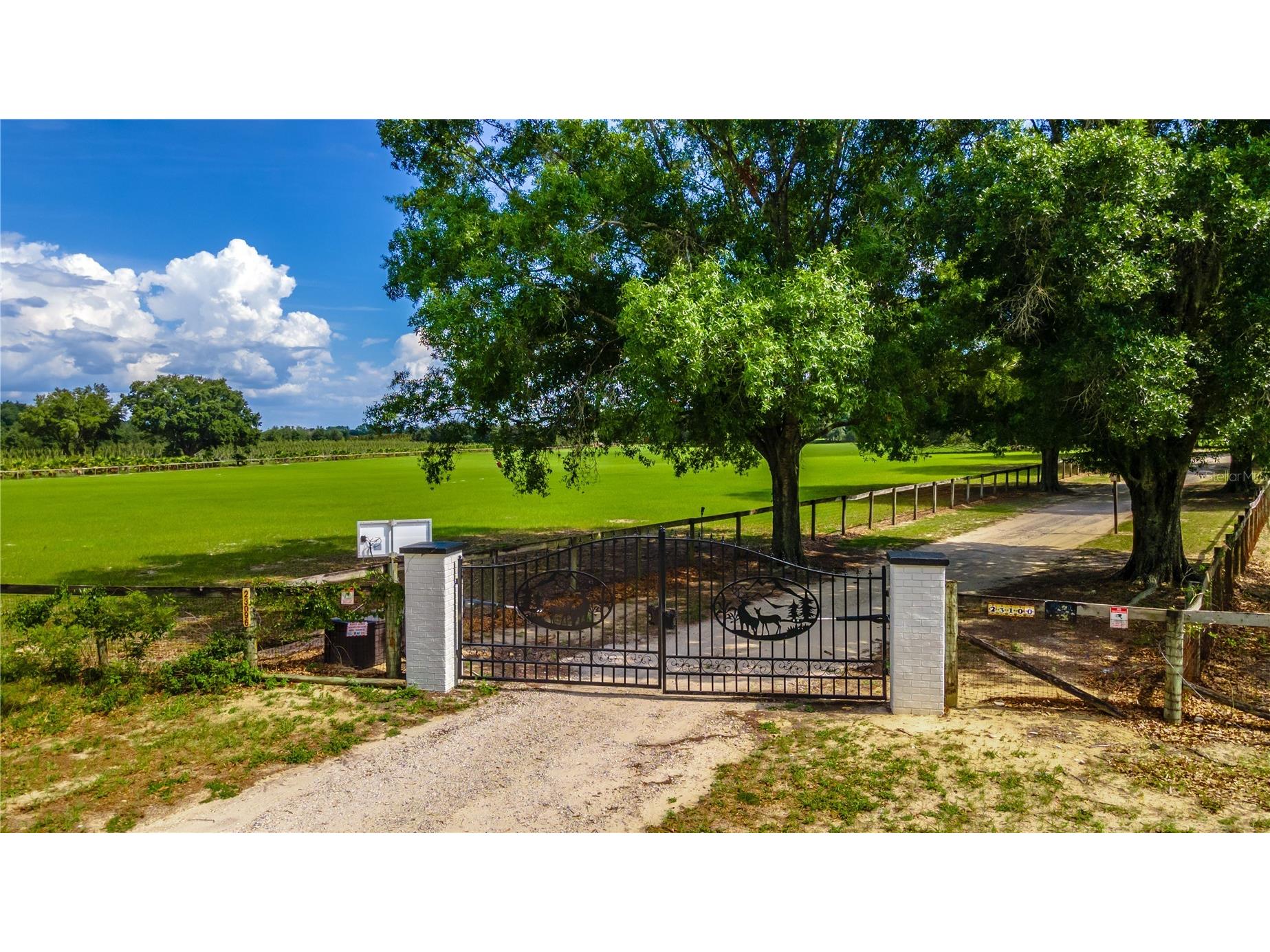 23100 SE Highway 42 Umatilla FL 32784 O6395337 image64