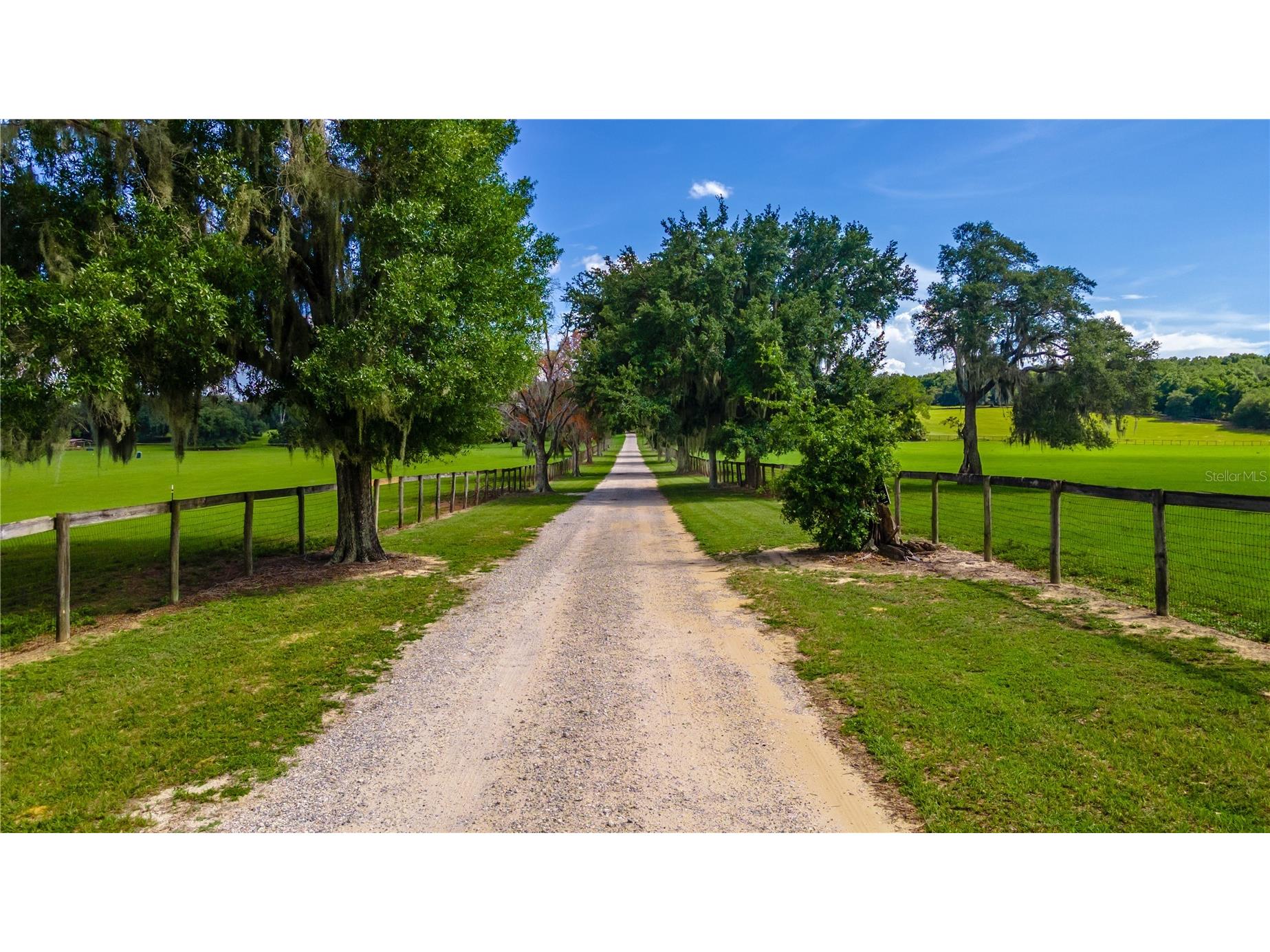 23100 SE Highway 42 Umatilla FL 32784 O6395337 image66