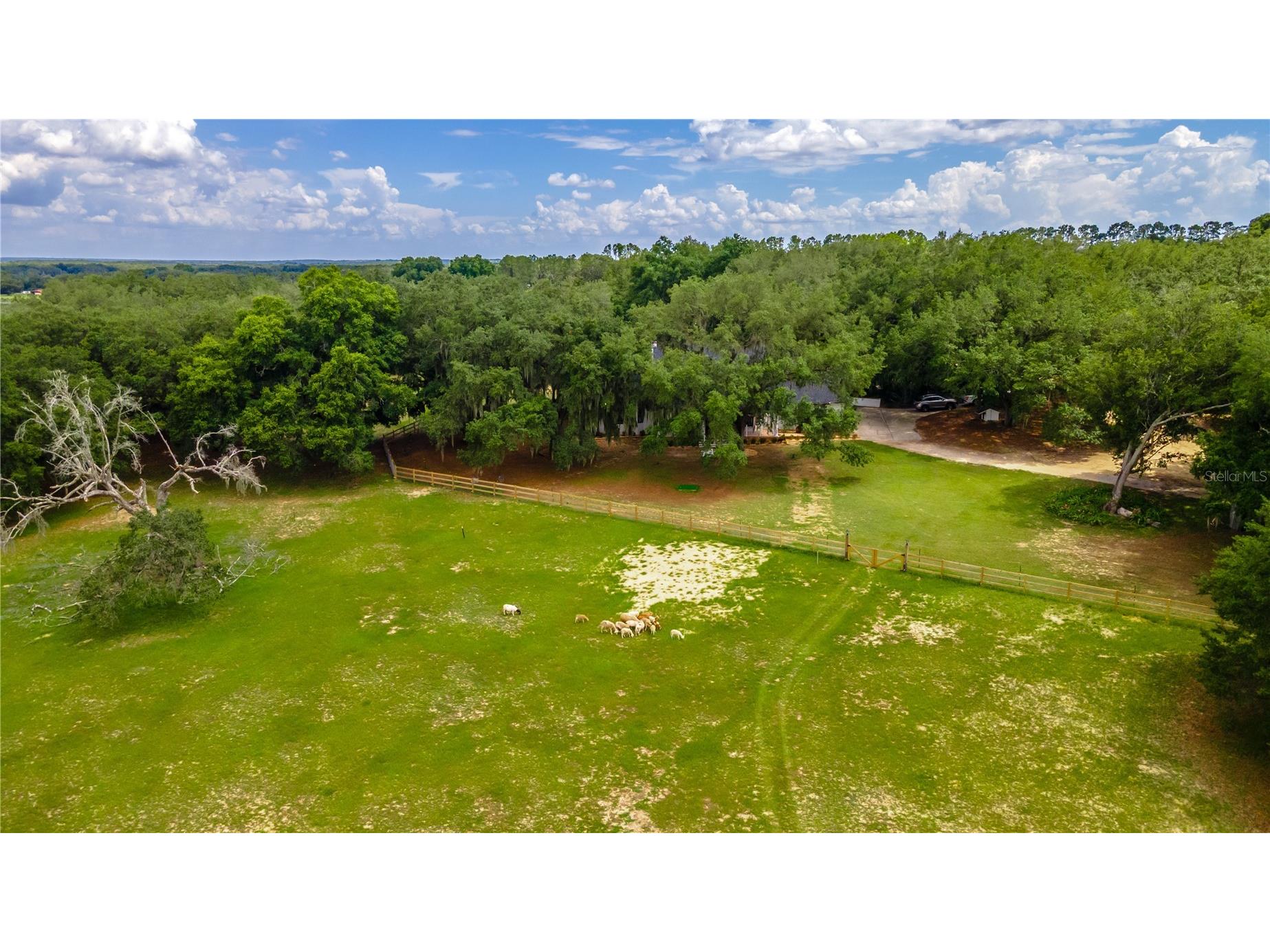 23100 SE Highway 42 Umatilla FL 32784 O6395337 image67