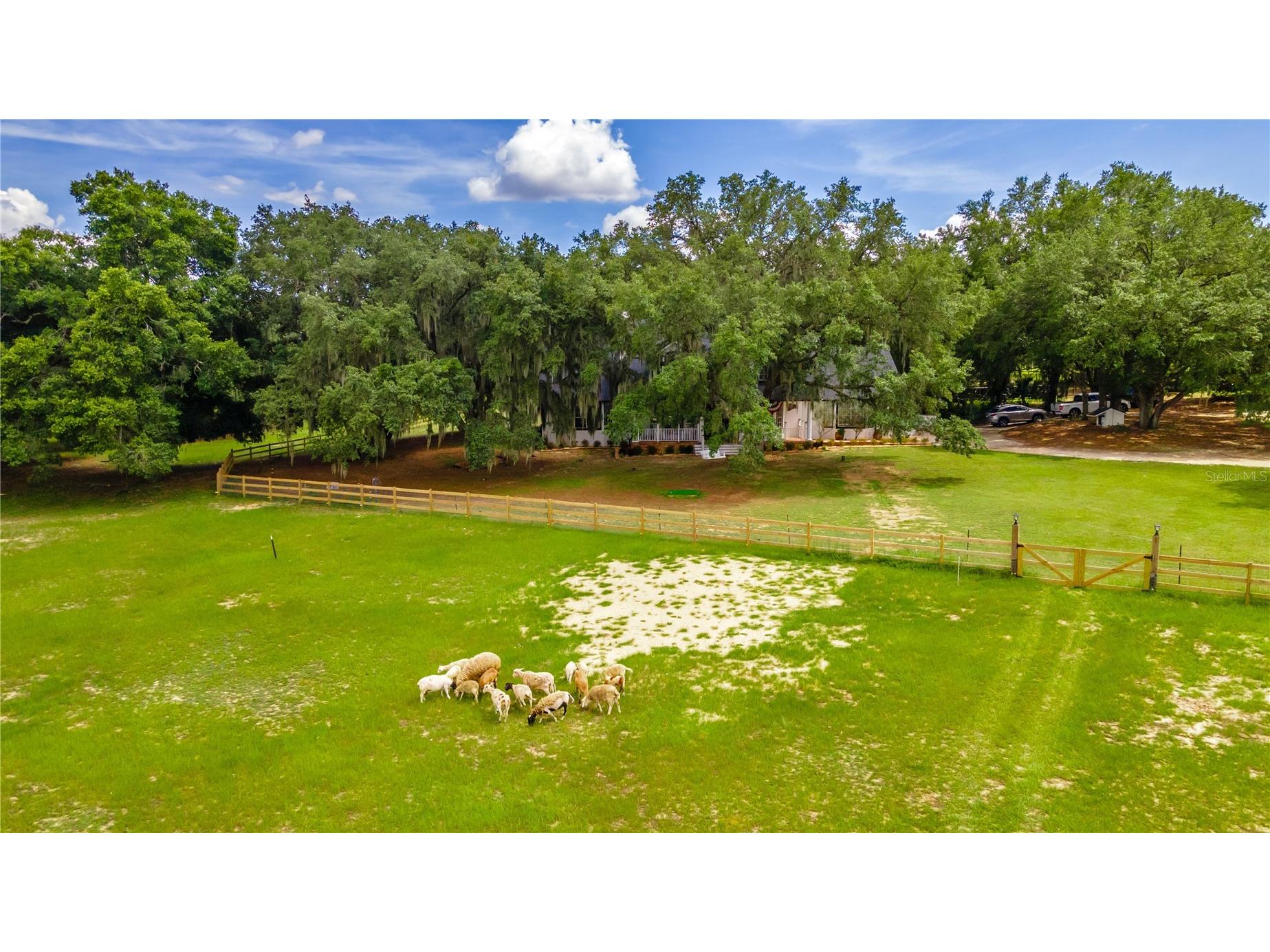 23100 SE Highway 42 Umatilla FL 32784 O6395337 image68