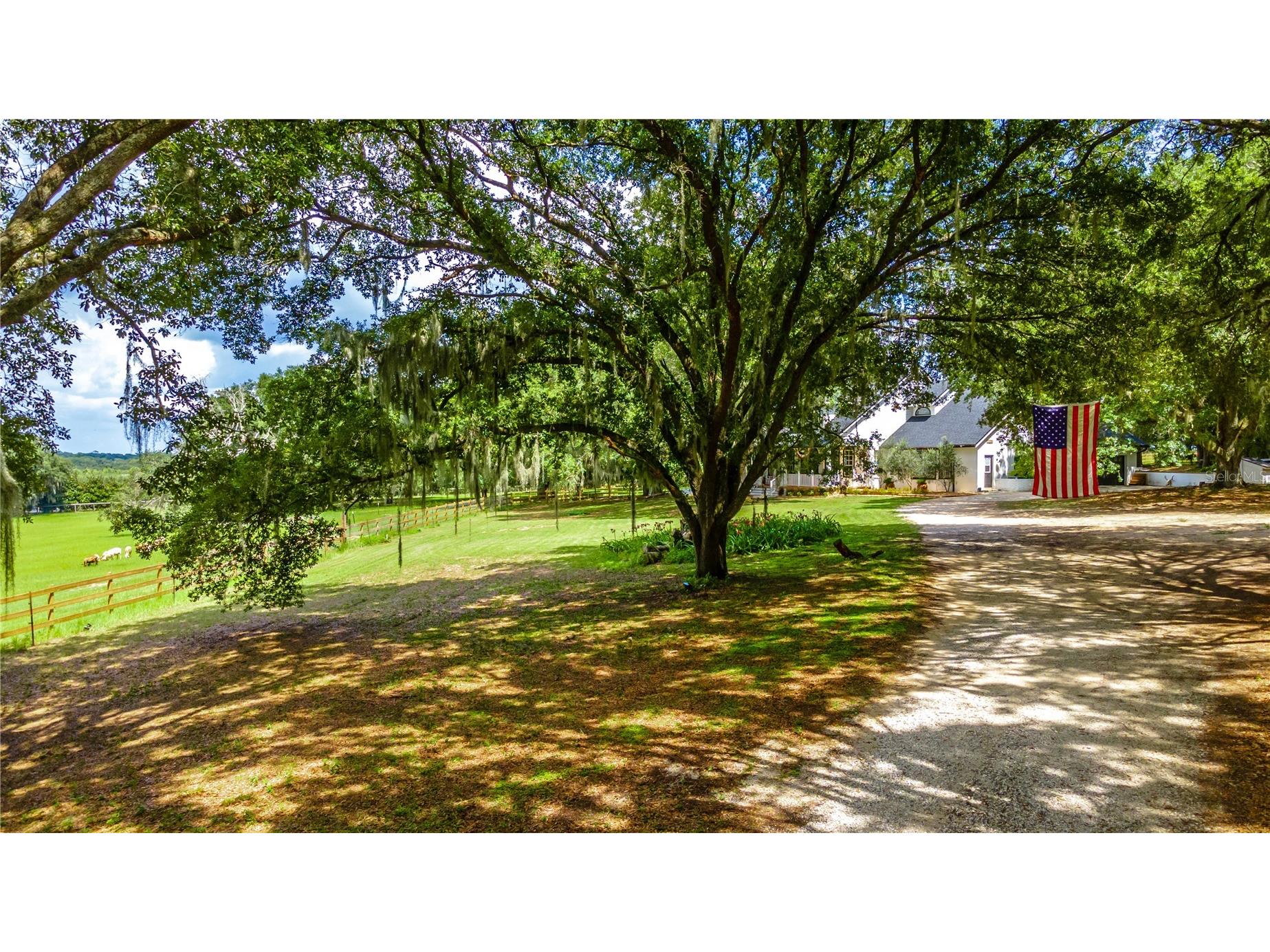 23100 SE Highway 42 Umatilla FL 32784 O6395337 image70