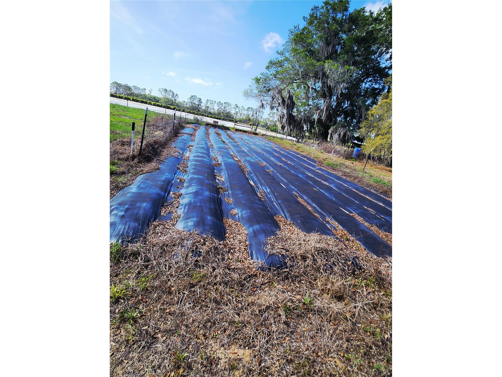 23100 SE Highway 42 Umatilla FL 32784 O6395337 image76