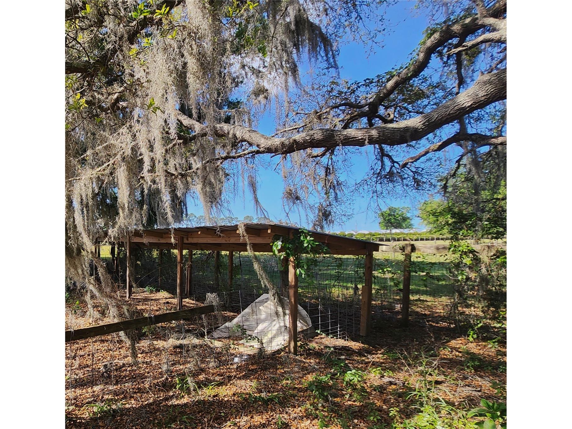 23100 SE Highway 42 Umatilla FL 32784 O6395337 image77