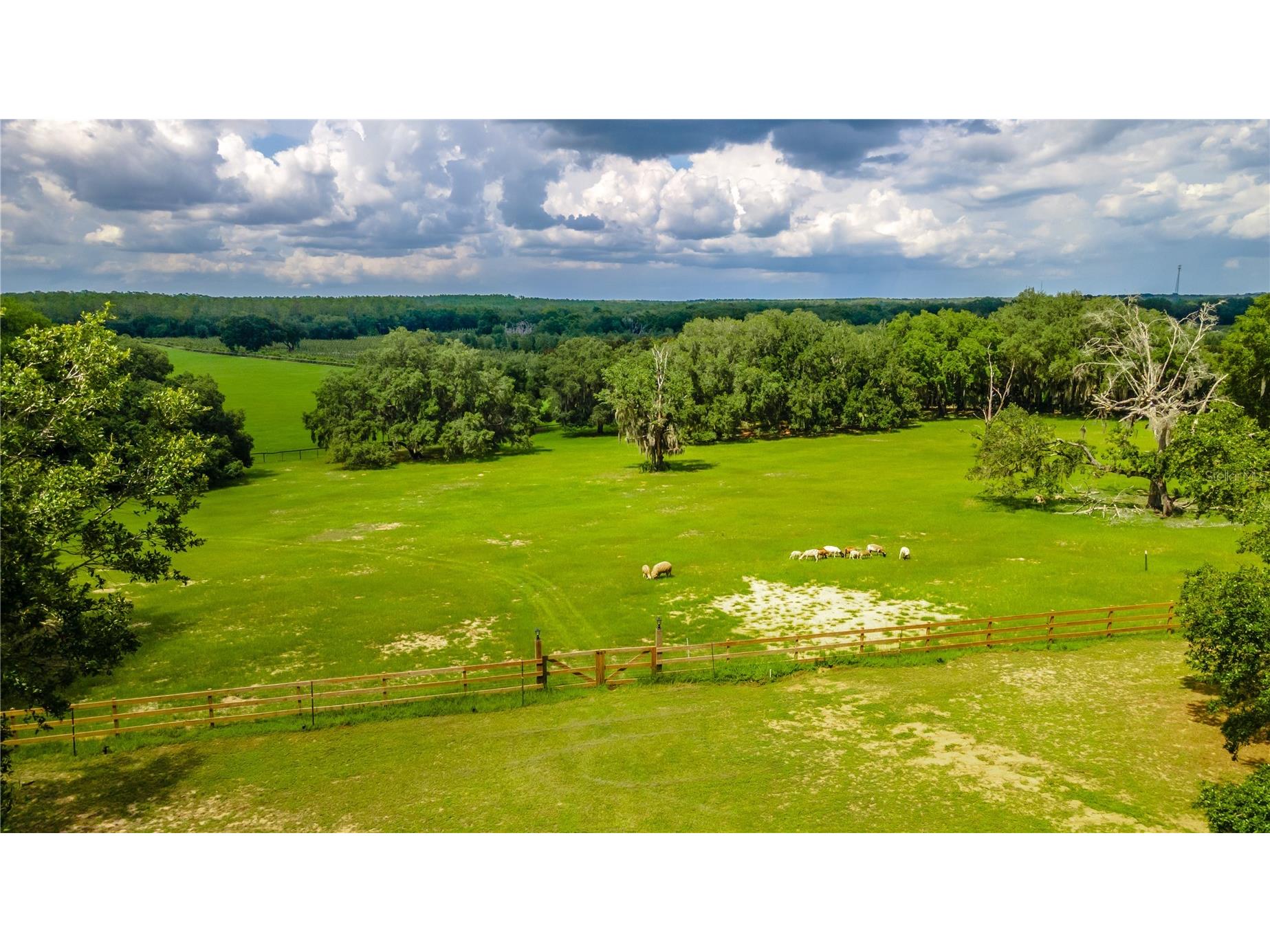 23100 SE Highway 42 Umatilla FL 32784 O6395337 image79